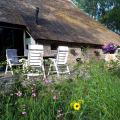 Terras met tuinstoelen Hoeve Heide en Wold