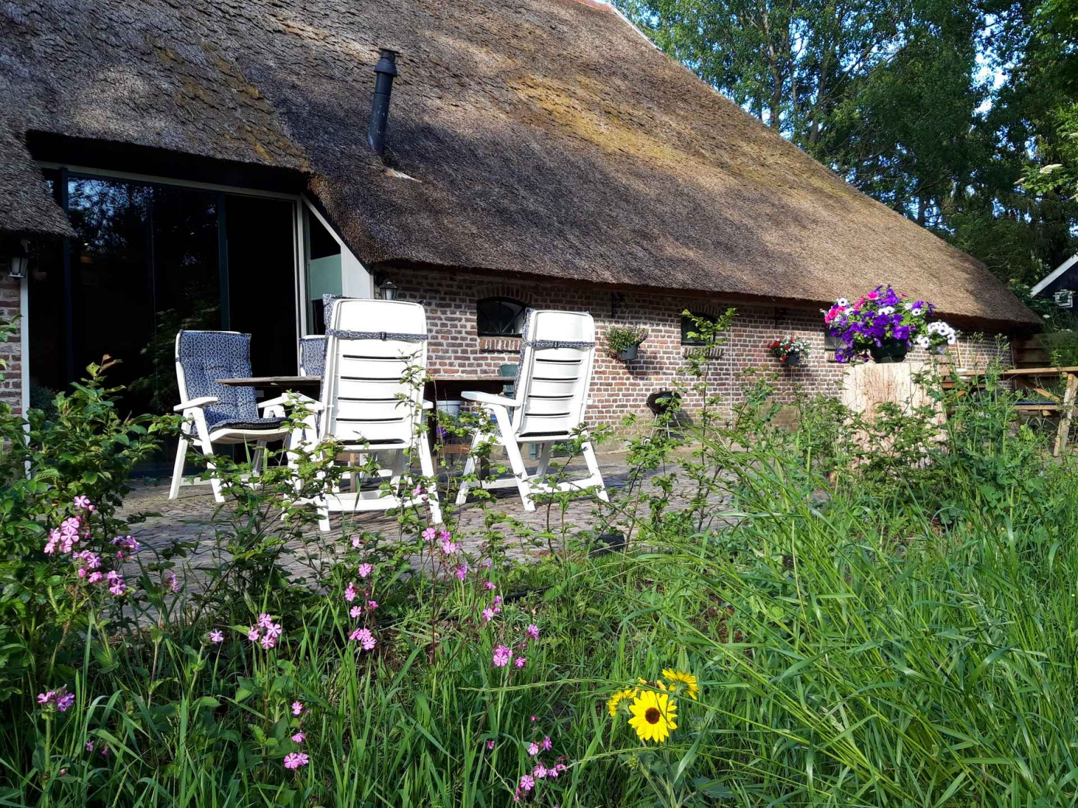 Terras met tuinstoelen Hoeve Heide en Wold