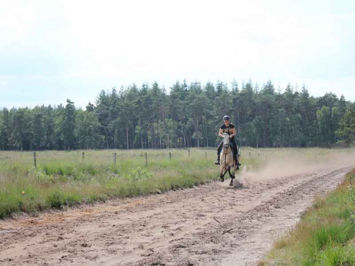 Paardrijden Drenthe