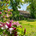 Zicht op de vakantiewoning vanaf het speelveld met trampoline